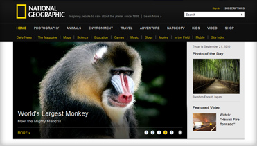 ddos在线攻击平台